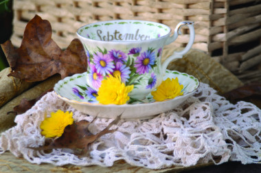 Preview image for article: Autumn Tea: A Guest Post with Linda J. Hawkins