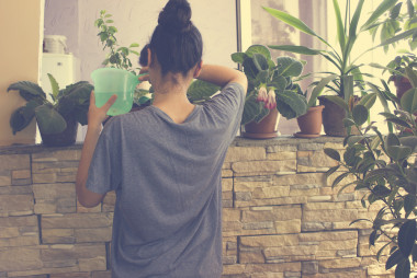 Preview image for article: Little Things Matter