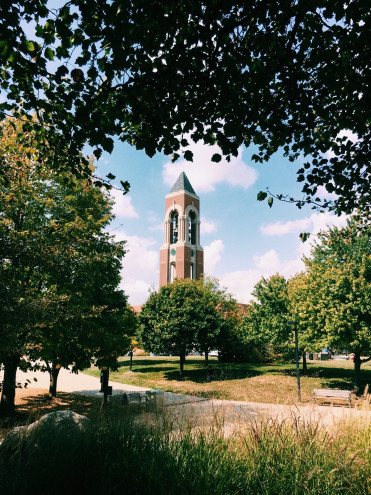 Preview image for article: Balancing Ministry and Education