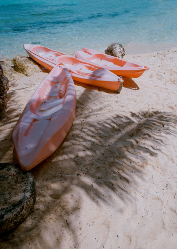 Preview image for article: You are More