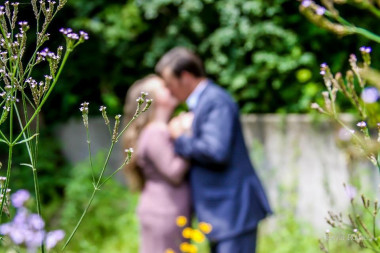 Preview image for article: Caramel Apples + A Fall Tradition