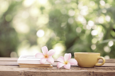 Preview image for article: The Other Side of the Wall