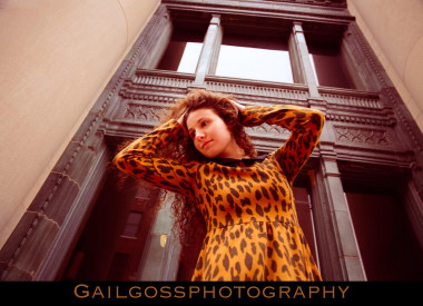 Preview image for article: The Leopard Dress :: Savannah