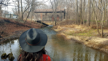 Preview image for article: Day After Christmas