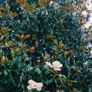 Preview image for article: The Melody of Mercy