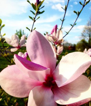 Preview image for article: You Are Enough