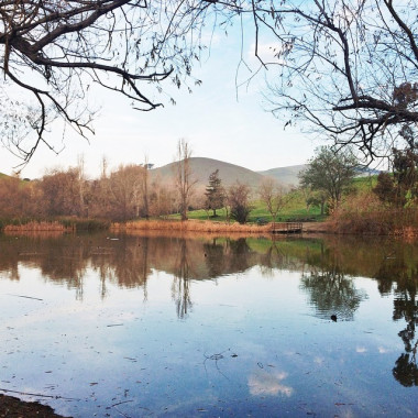 Preview image for article: A Balanced Life