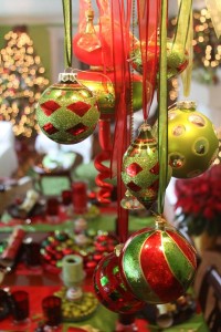 Hall Family Christmas 5