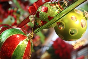 Hall Family Christmas 6