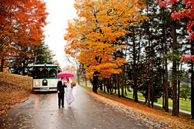 Preview image for article: Autumn Weddings