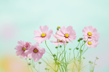 Preview image for article: Escaping the Black Hole: Finding Hope in Depression