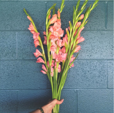 Preview image for article: For Such a Time as This