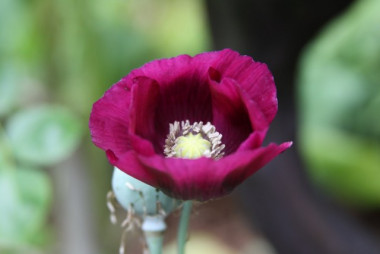 Preview image for article: On Being Intentional