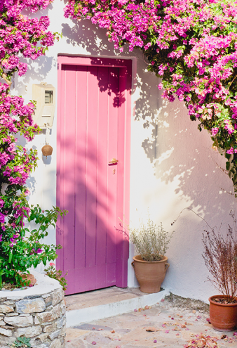 Preview image for article: What's On The Inside