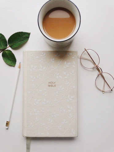 Preview image for article: Refreshing Your Bible Reading