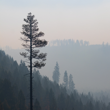 Preview image for article: When Your Faith Gets A Little Banged Up