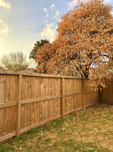 Preview image for article: Living After the Winter