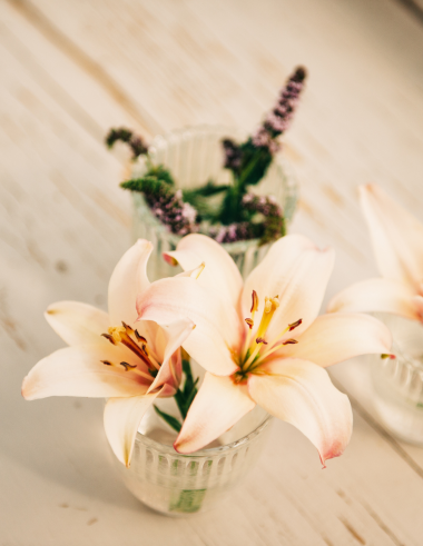 Preview image for article: Grace Made A Way ... Now What?