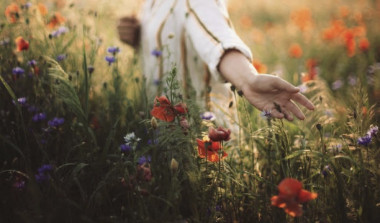 Preview image for article: In Your Season