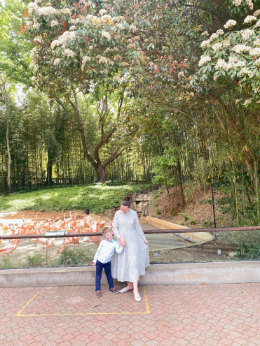 Preview image for article: A Day in Atlanta