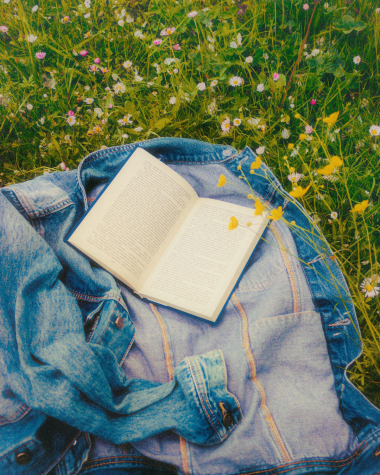 Preview image for article: Summer Reading Recommendations: Armchair Travel