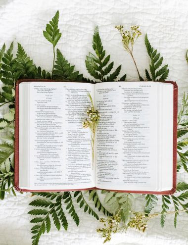 Preview image for article: Praising God in the Desert Place