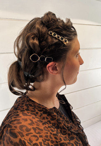 Preview image for article: Braided Updo
