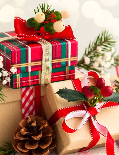 Preview image for article: Embracing the Joyful Moments of Christmas