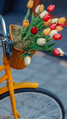 Preview image for article: Spring & Scabs