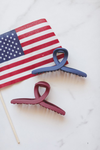 Preview image for article: Show Your Stars and Stripes: Fun Patriotic Hair Accessories for Every Occasion!