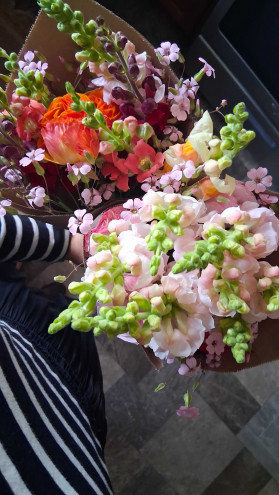 Preview image for article: The Beauty of Fresh Cut Flowers
